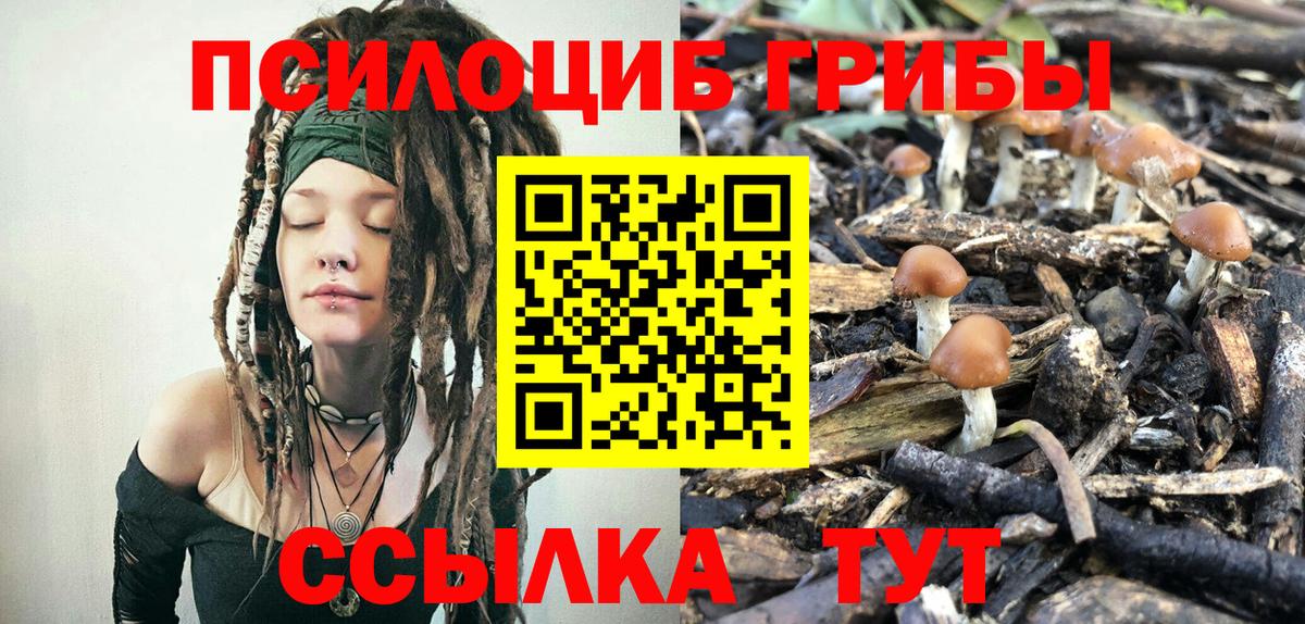 Абинск  Псилоцибиновые грибы MAGIC MUSHROOMS  Вход с VPN 