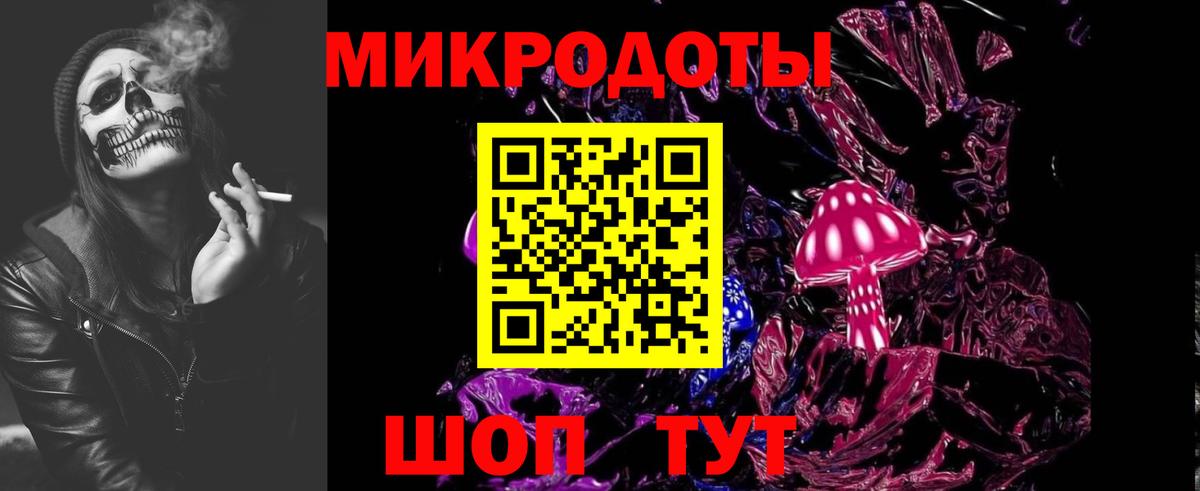Галлюциногенные грибы Psilocybine cubensis Абинск